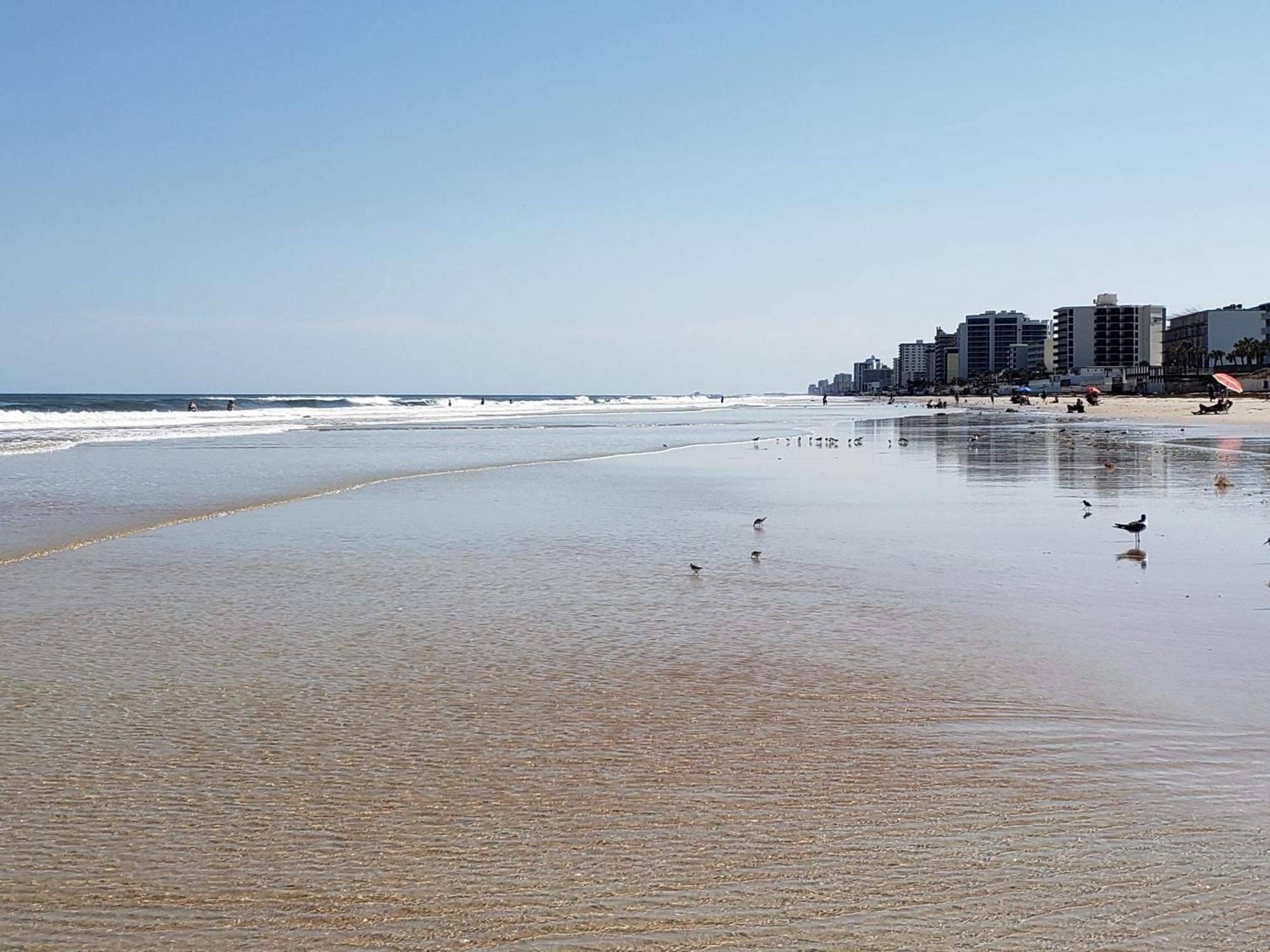 Beachside Bliss Ocean Views & Endless Fun Daytona Beach! ภายนอก รูปภาพ