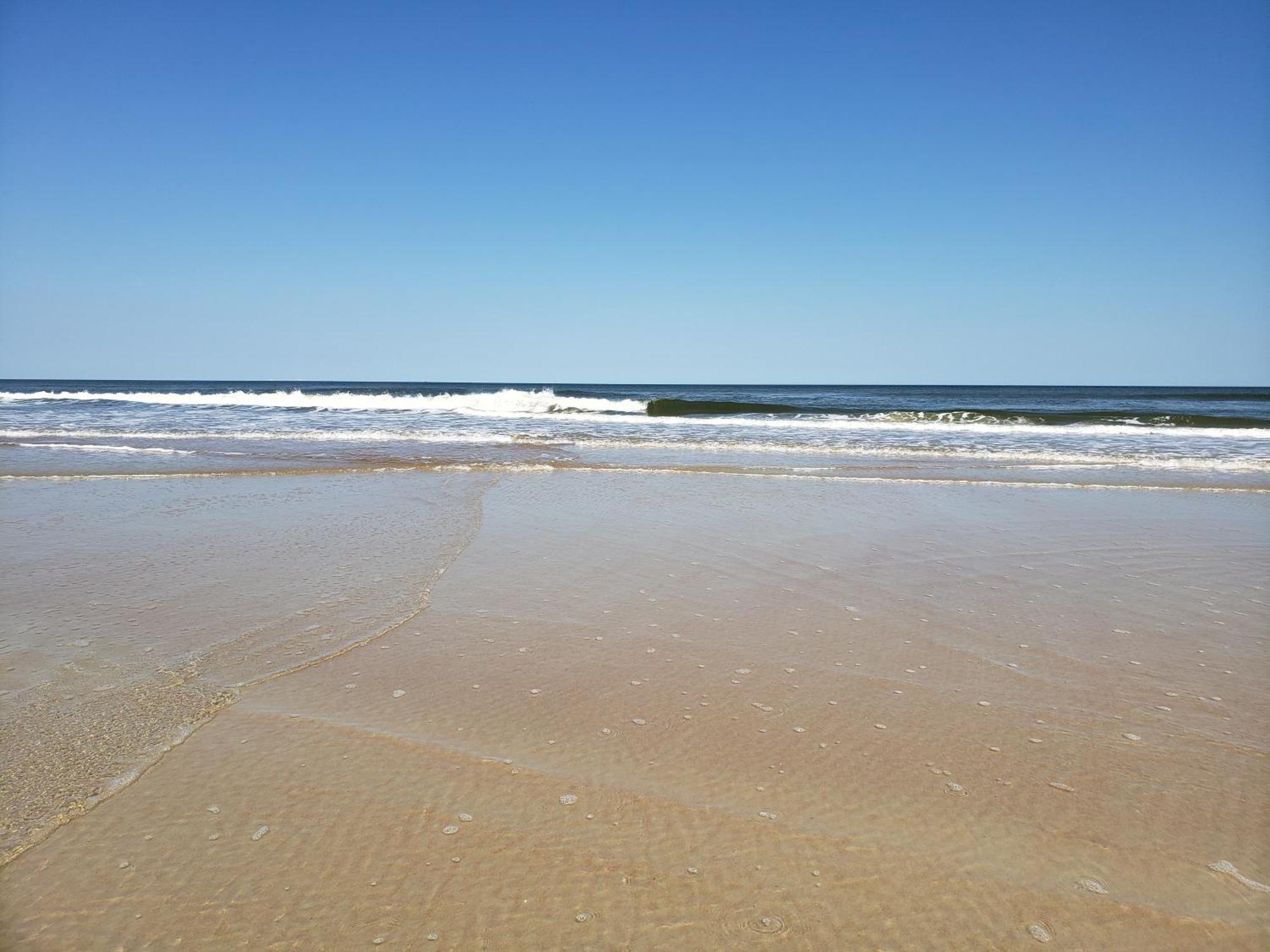 Beachside Bliss Ocean Views & Endless Fun Daytona Beach! ภายนอก รูปภาพ